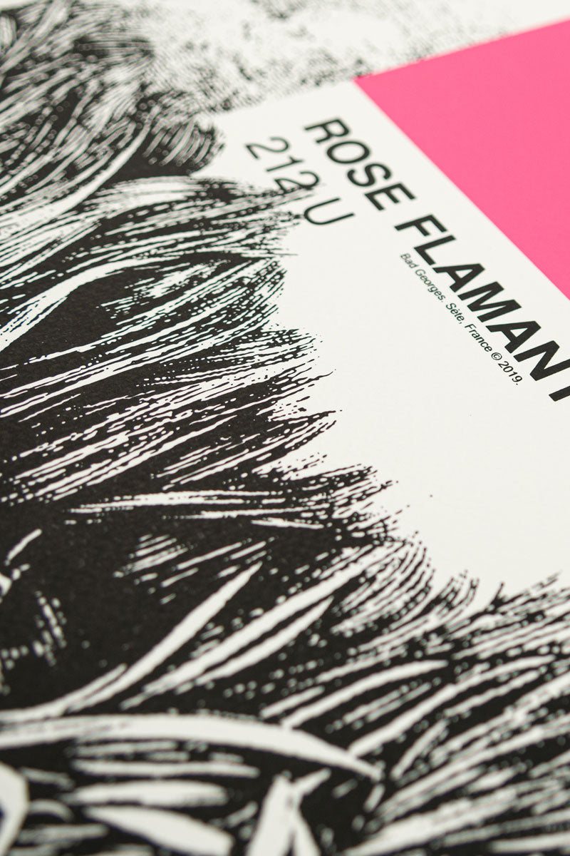 ROSE FLAMANT - sérigraphie