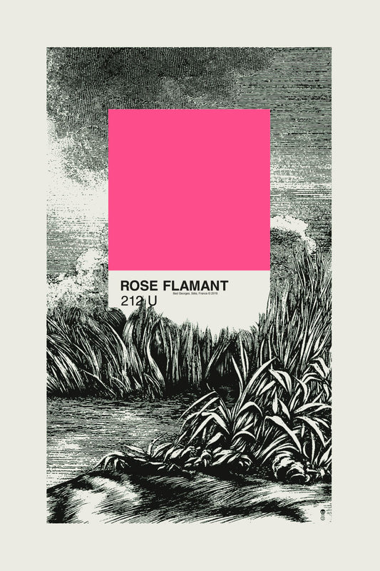 ROSE FLAMANT - sérigraphie
