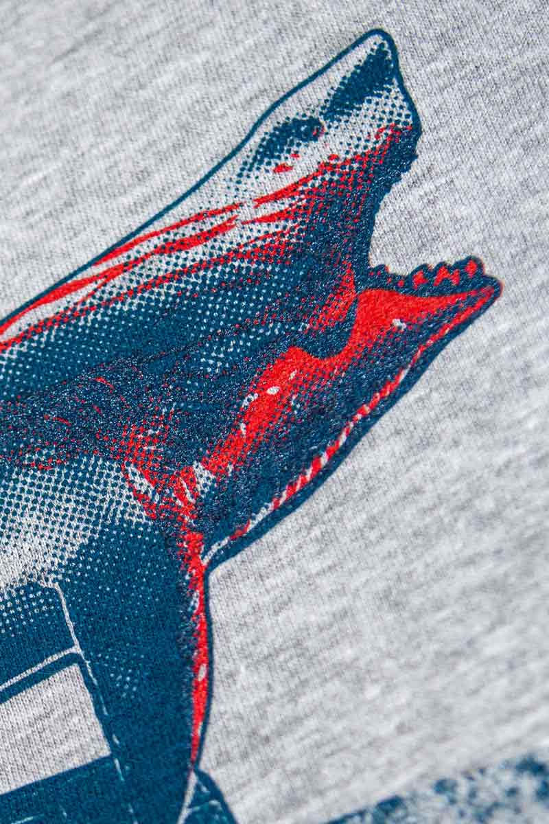 Le T-shirt PAS SAGE