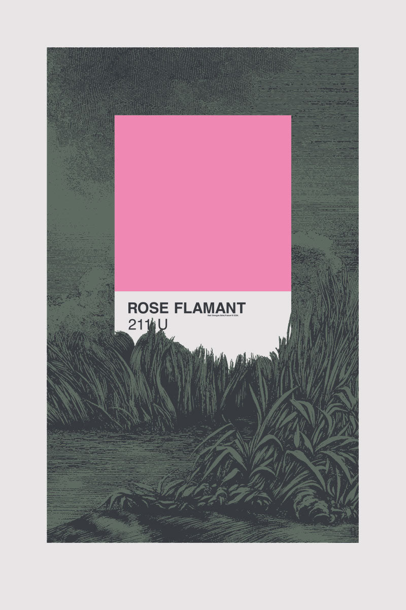 ROSE FLAMANT - sérigraphie grand format