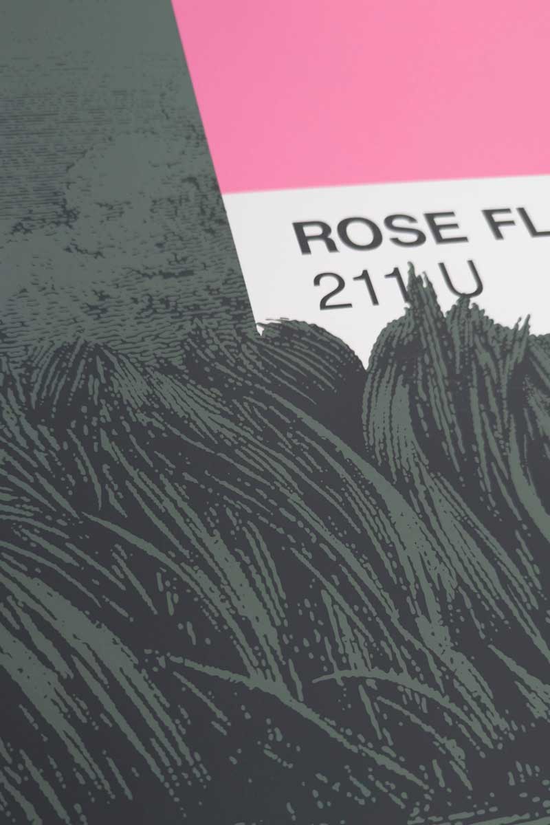 ROSE FLAMANT - sérigraphie grand format