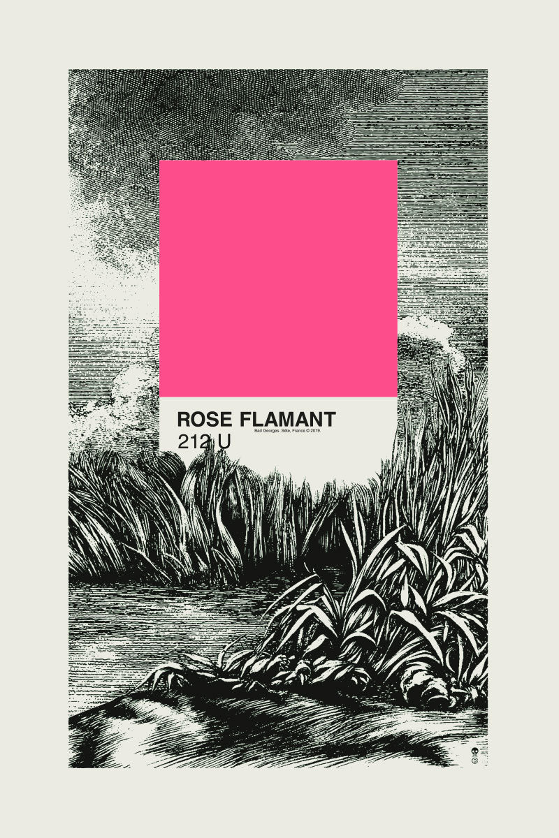 ROSE FLAMANT - sérigraphie